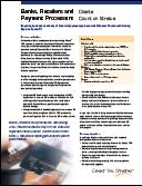 VOS Auditor White Paper