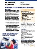 VOS Auditor White Paper